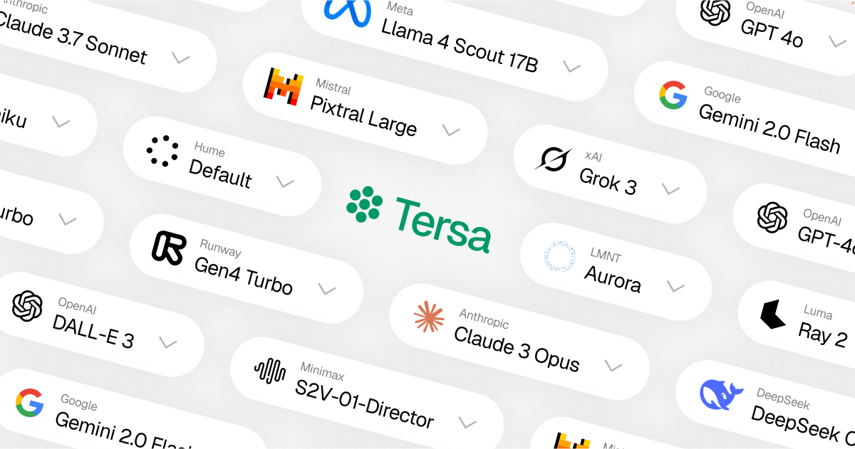 Screenshot or logo of Tersa tool
